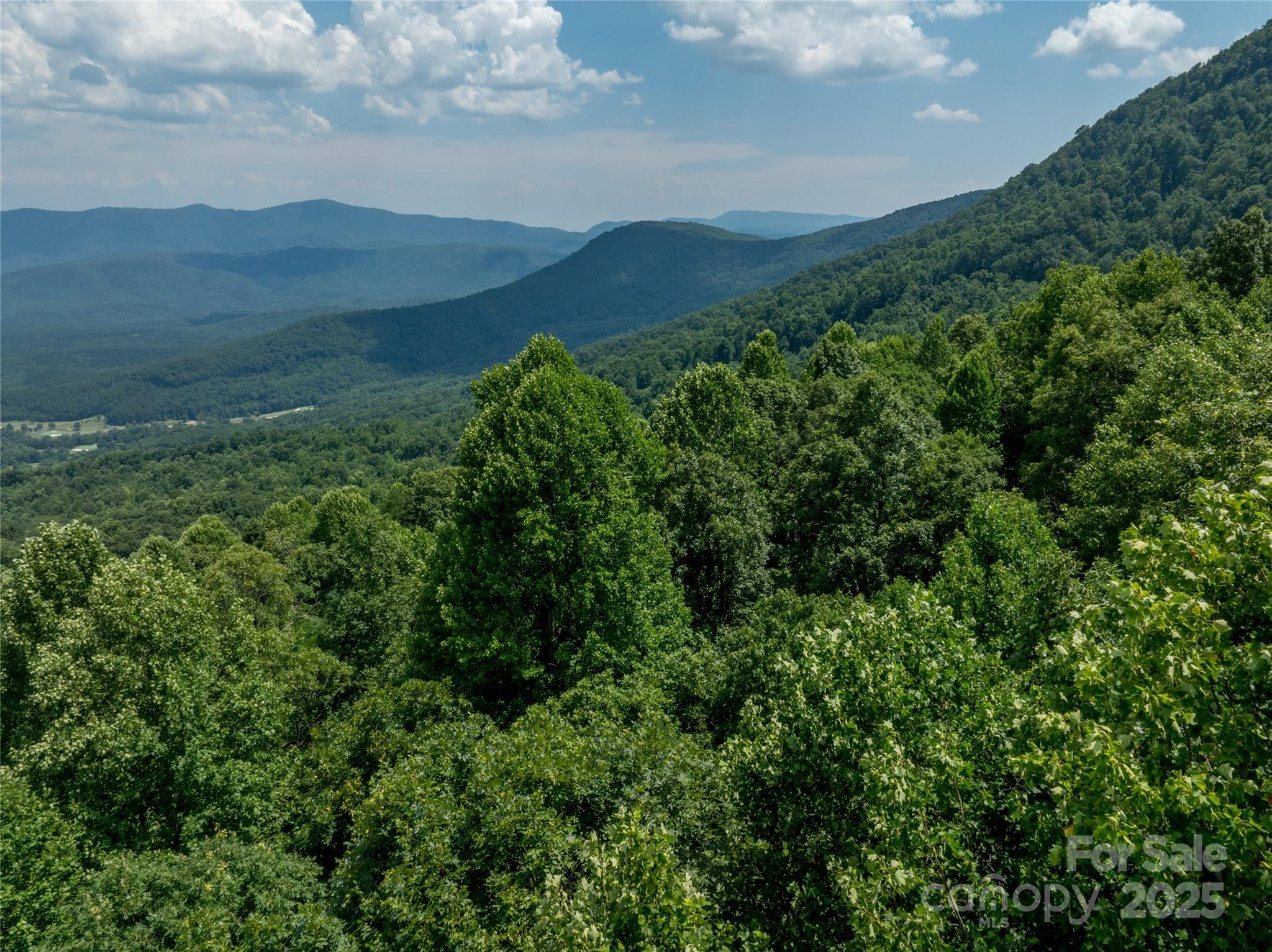 Lot 256 Haddington Dr Mill Spring West Mill Spring, NC 28756 - Photo 18 of 22 a view of a lush green forest with a mountain