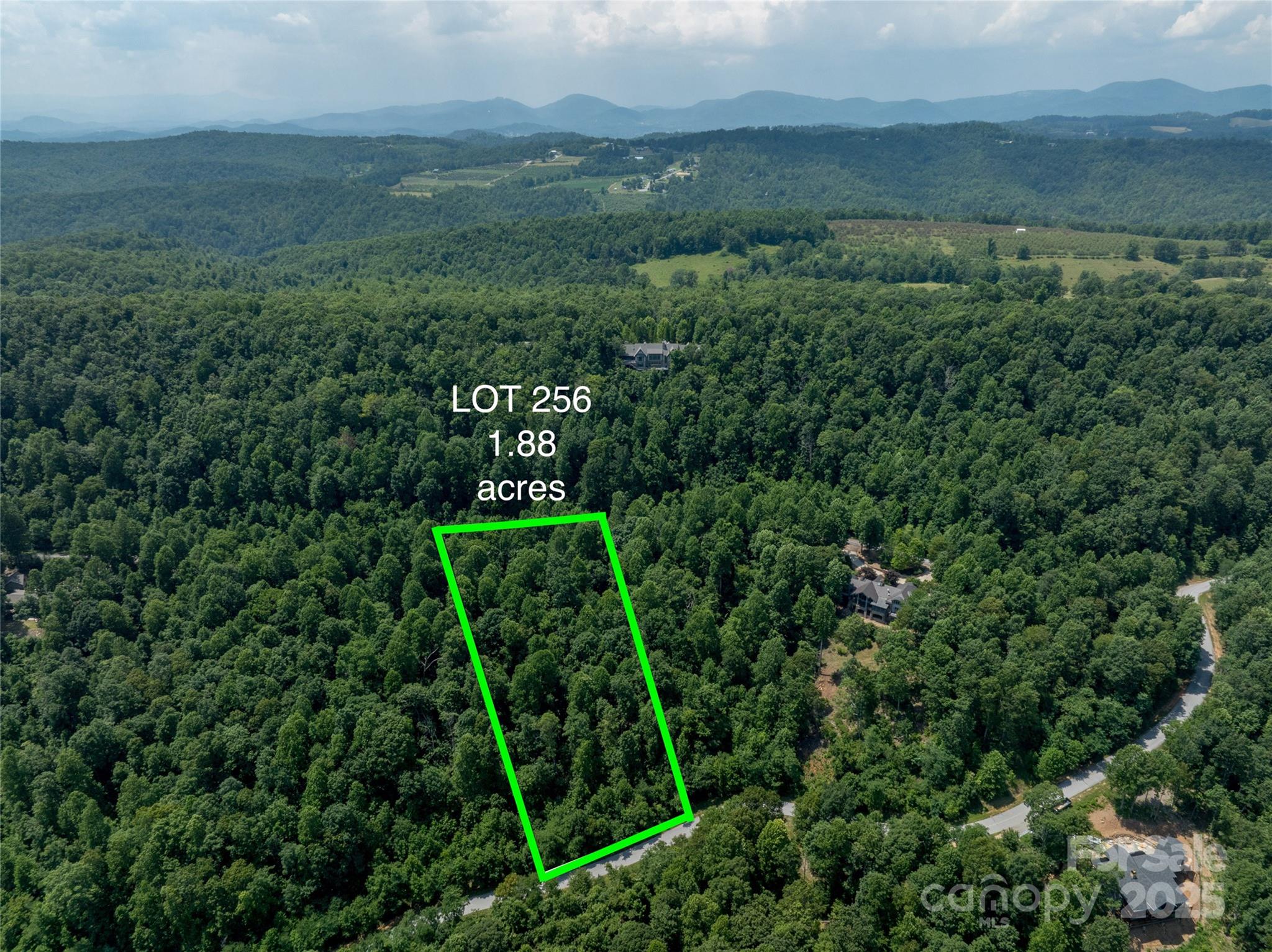 Lot 256 Haddington Dr Mill Spring West Mill Spring, NC 28756 - Photo 22 of 22 a view of a yard with an trees