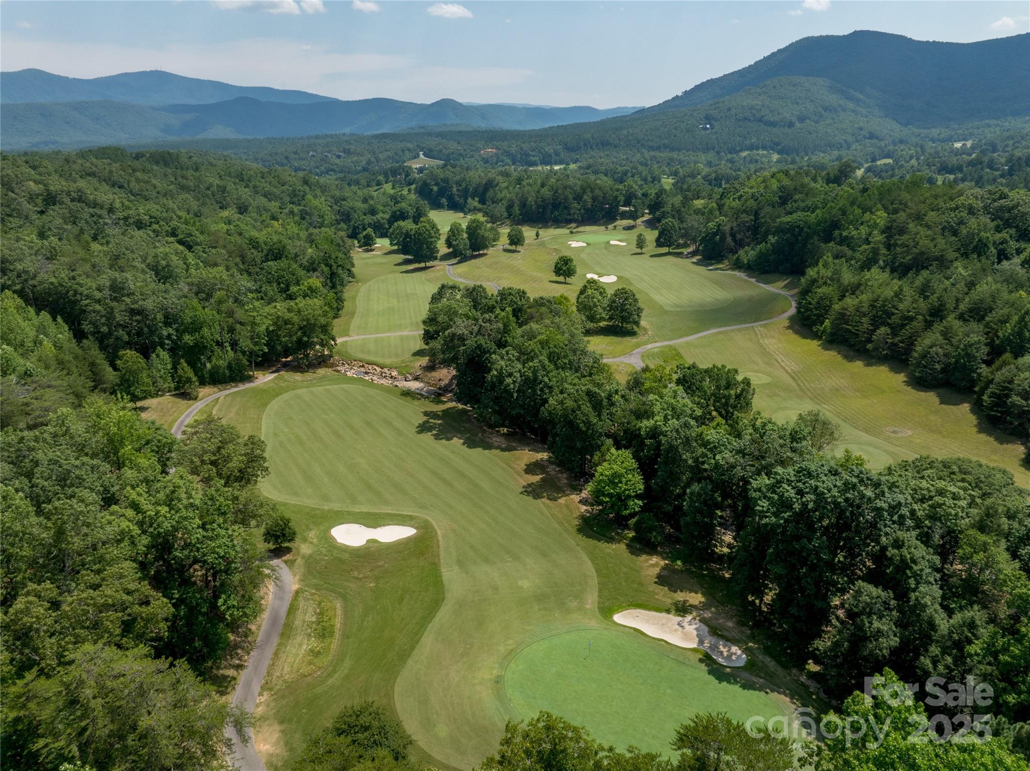 Lot 256 Haddington Dr Mill Spring West Mill Spring, NC 28756 - Photo 5 of 22 a view of a lush green hillside and houses