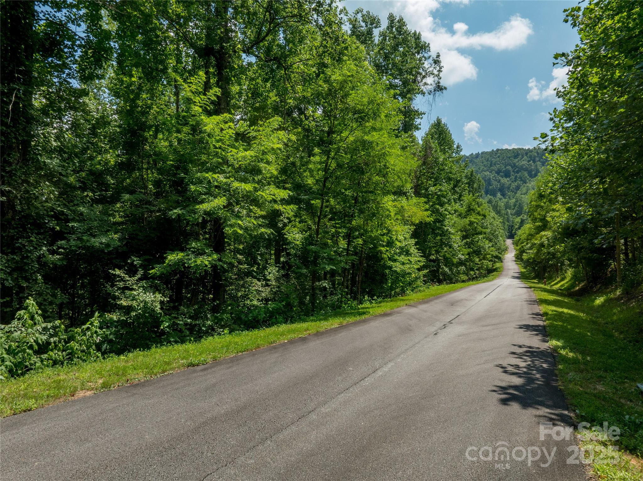 Lot 256 Haddington Dr Mill Spring West Mill Spring, NC 28756 - Photo 6 of 22 a view of a street