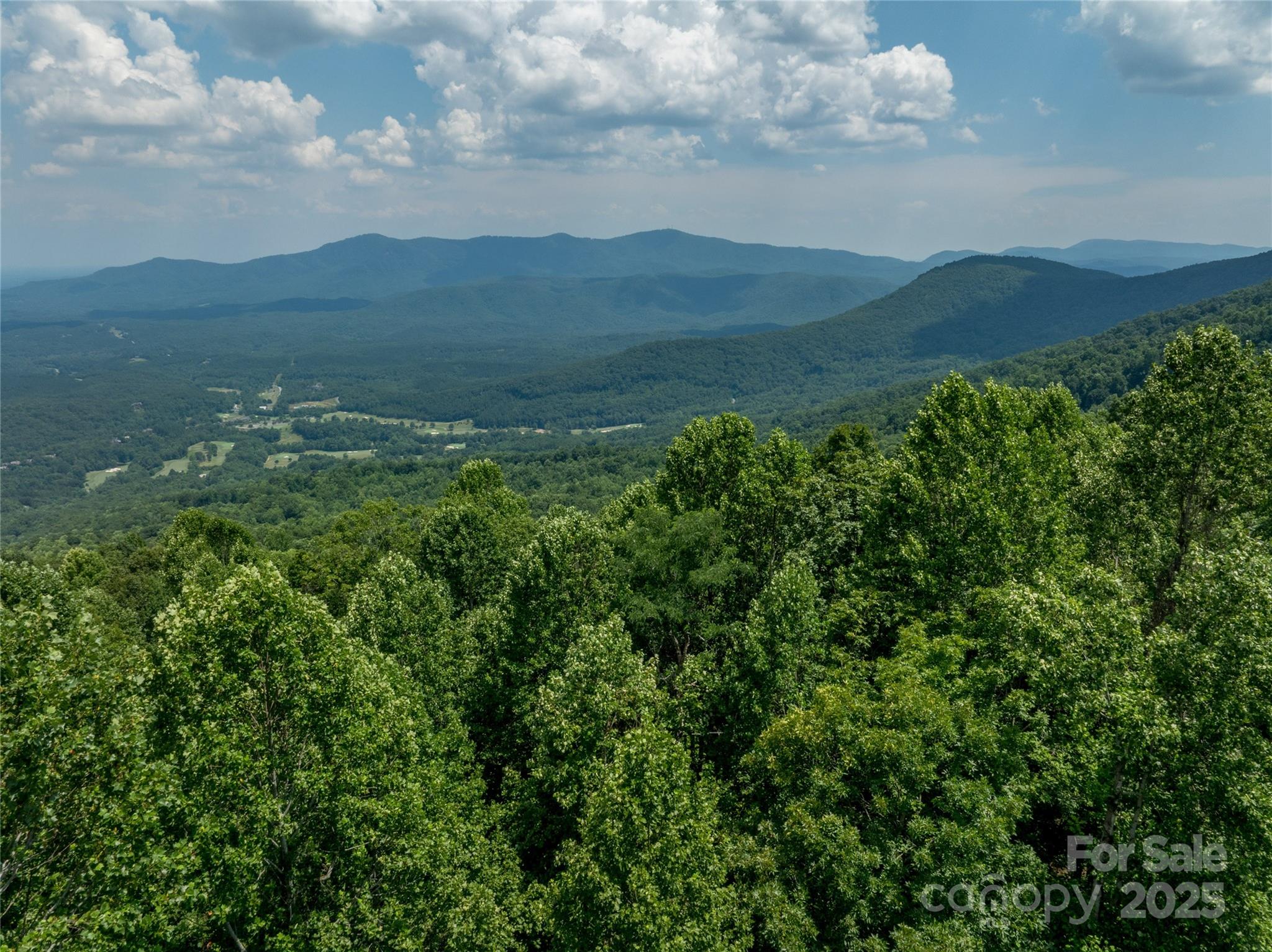 Lot 256 Haddington Dr Mill Spring West Mill Spring, NC 28756 - Photo 7 of 22 a view of a lush green mountain
