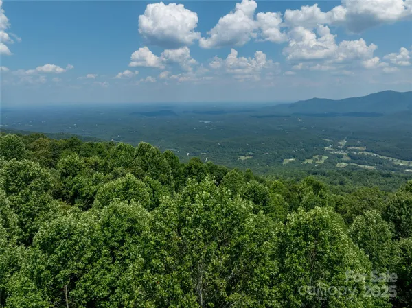 a view of a yard with a street