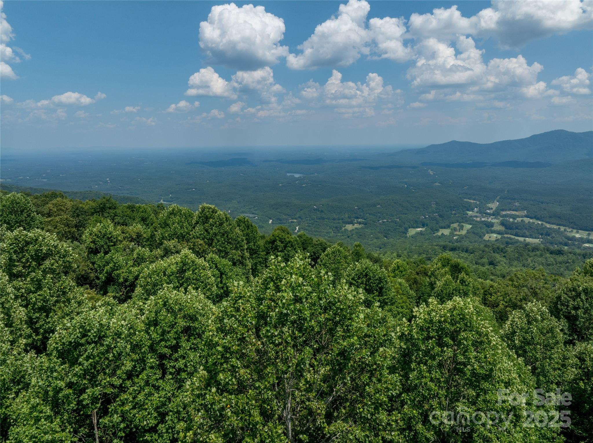 Lot 256 Haddington Dr Mill Spring West Mill Spring, NC 28756 - Photo 8 of 22 a view of lake with green space