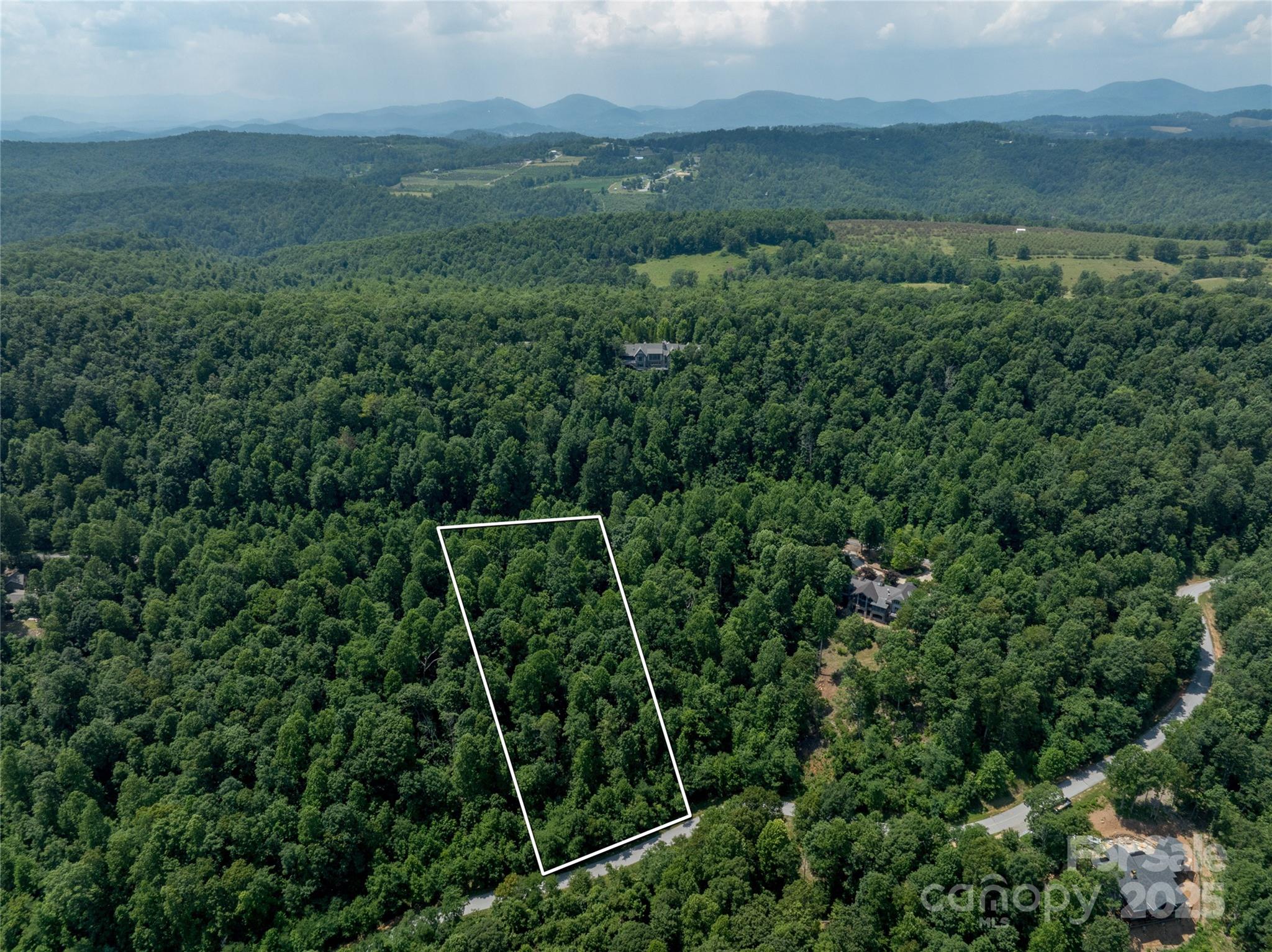 Lot 256 Haddington Dr Mill Spring West Mill Spring, NC 28756 - Photo 9 of 22 a view of a yard with a street