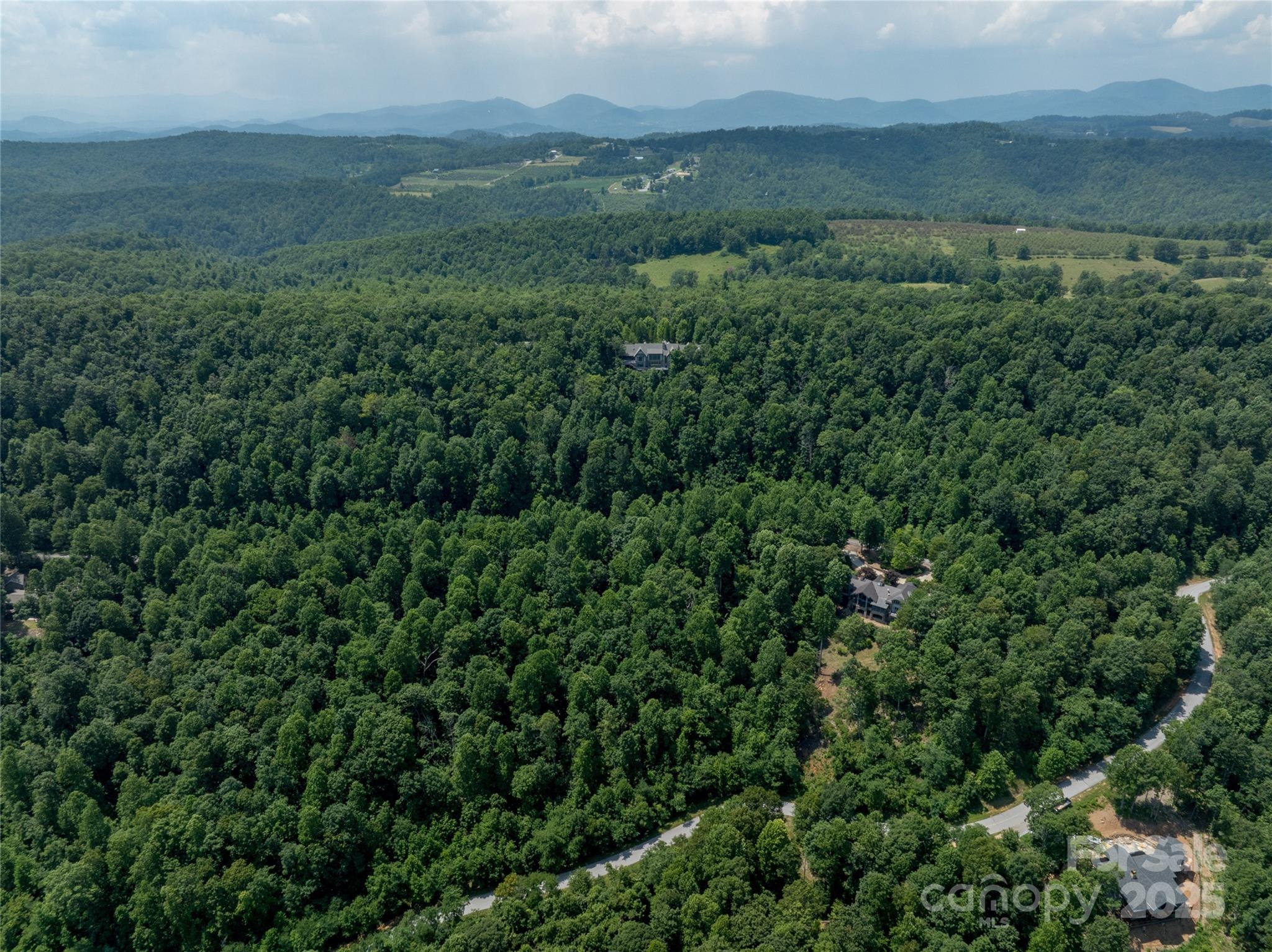 Lot 256 Haddington Dr Mill Spring West Mill Spring, NC 28756 - Photo 10 of 22 an aerial view of residential house with outdoor space and trees around
