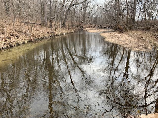 31415 Bobcat Road Falcon, MO 65470 - Photo 1 of 1 Land with 320 Ac