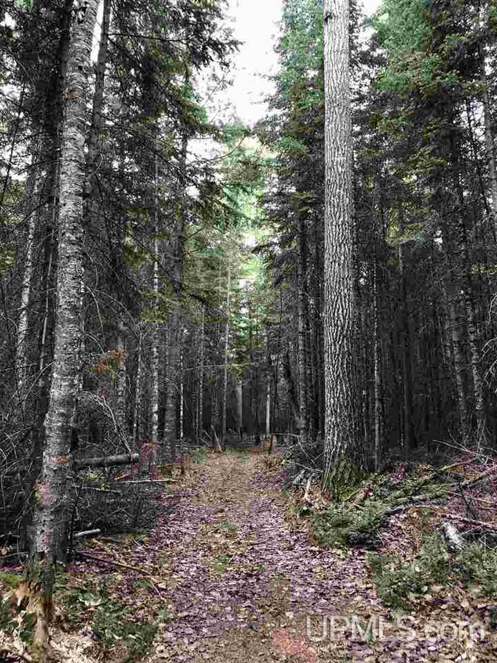 Tbd River Road, Unit PARCEL 3 Gulliver, MI 49854 - Photo 21 of 42