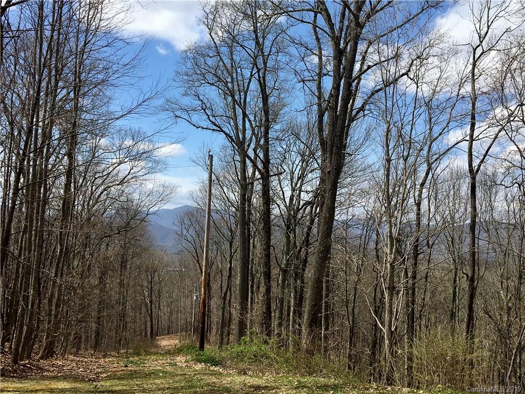 Tbd Smokey Ridge Loop Waynesville, NC 28786 - Photo 1 of 9