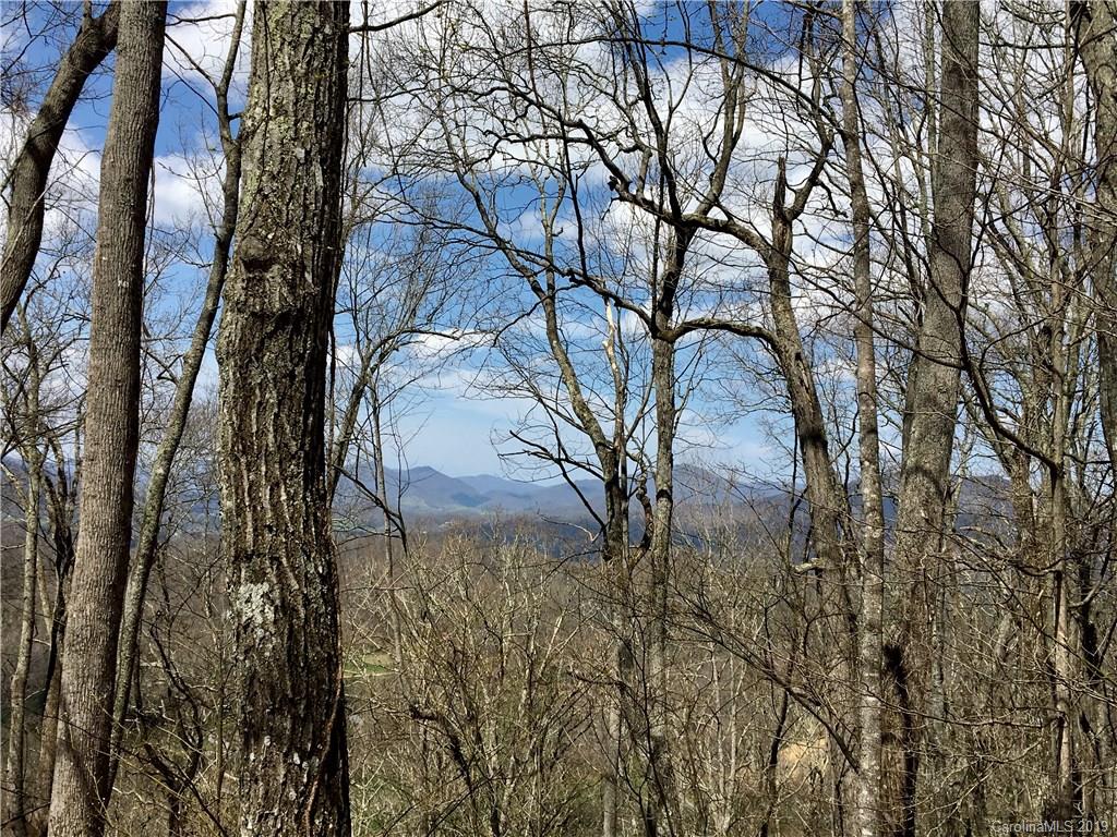 Tbd Smokey Ridge Loop Waynesville, NC 28786 - Photo 2 of 9