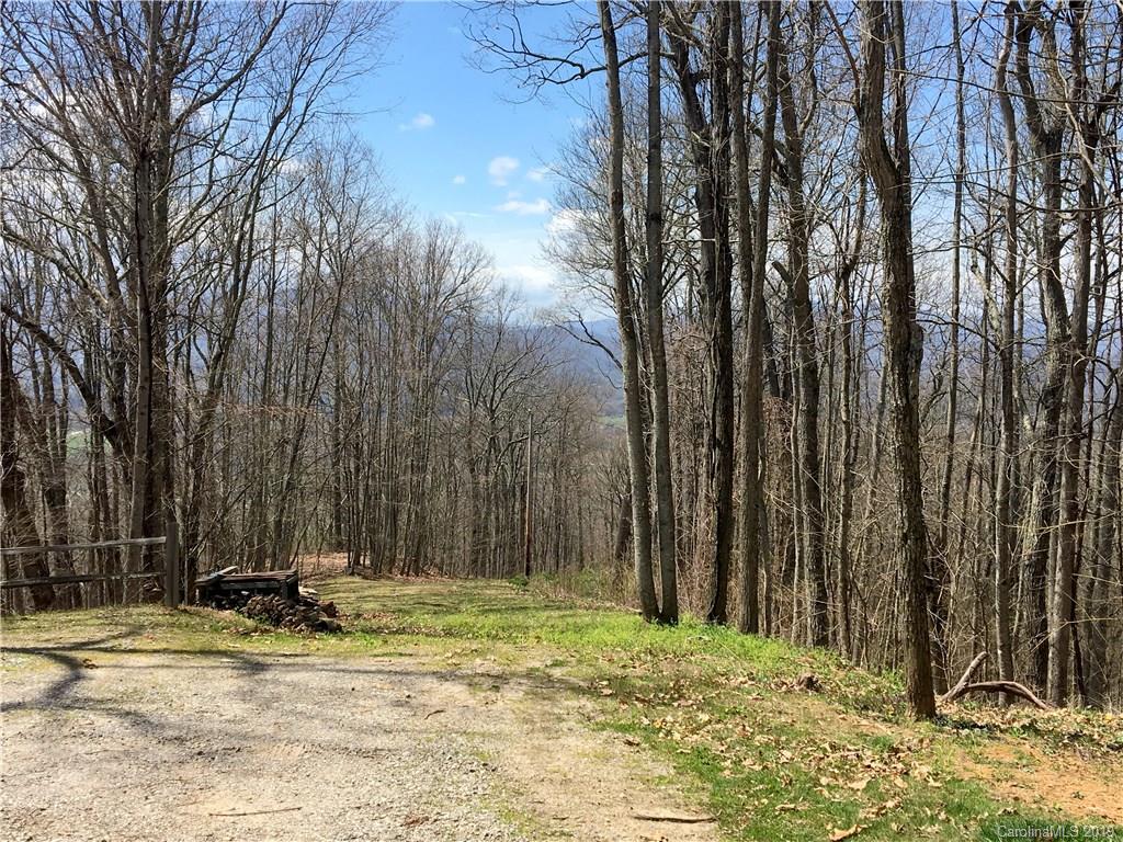 Tbd Smokey Ridge Loop Waynesville, NC 28786 - Photo 3 of 9