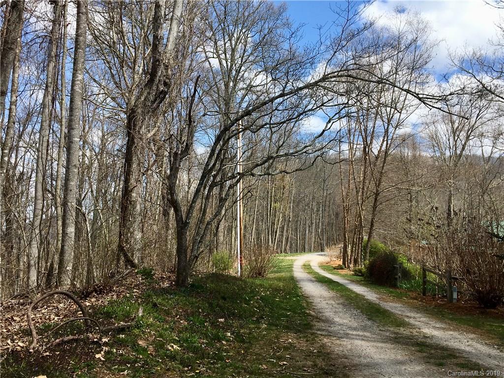 Tbd Smokey Ridge Loop Waynesville, NC 28786 - Photo 4 of 9