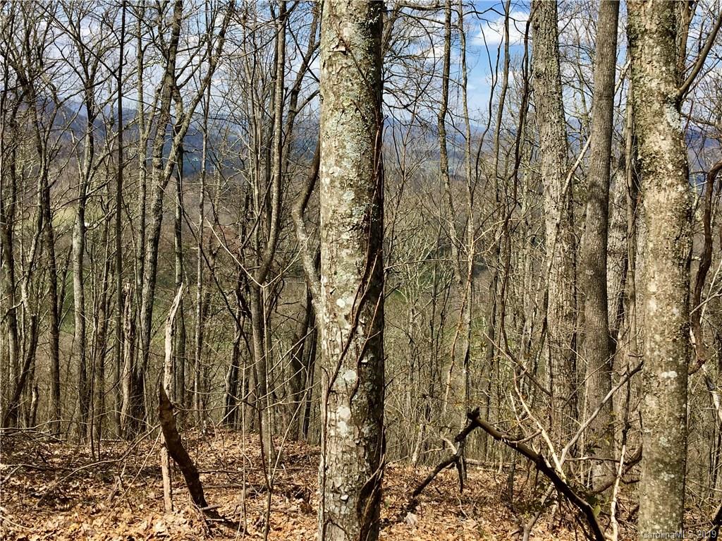 Tbd Smokey Ridge Loop Waynesville, NC 28786 - Photo 5 of 9