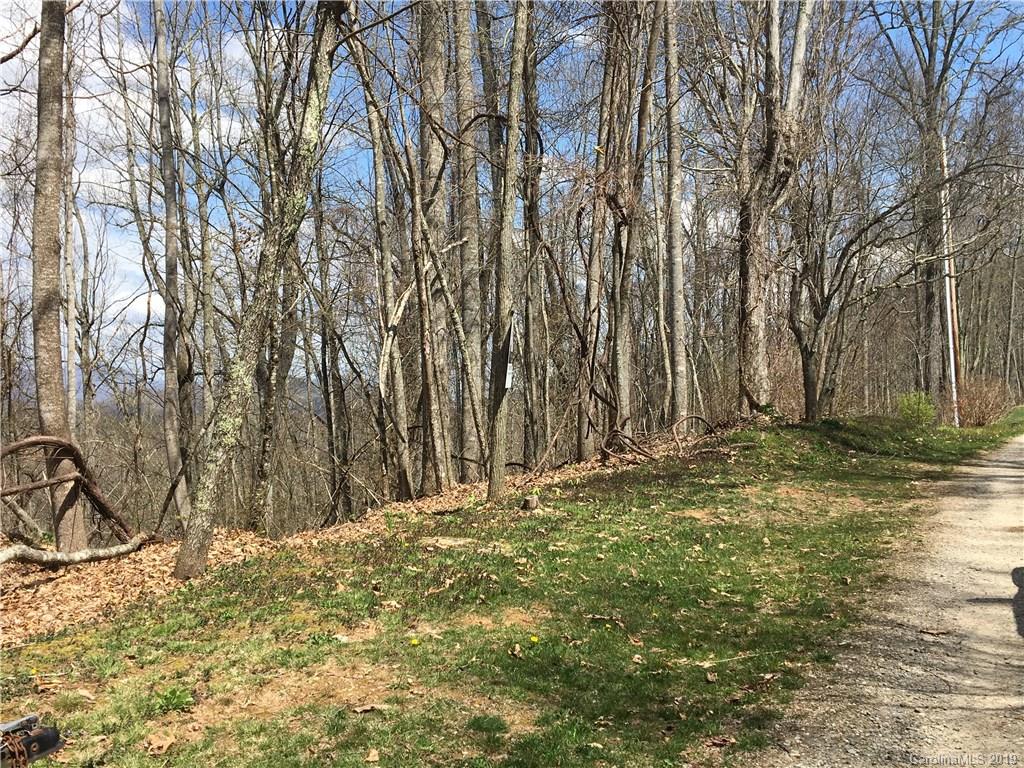 Tbd Smokey Ridge Loop Waynesville, NC 28786 - Photo 6 of 9