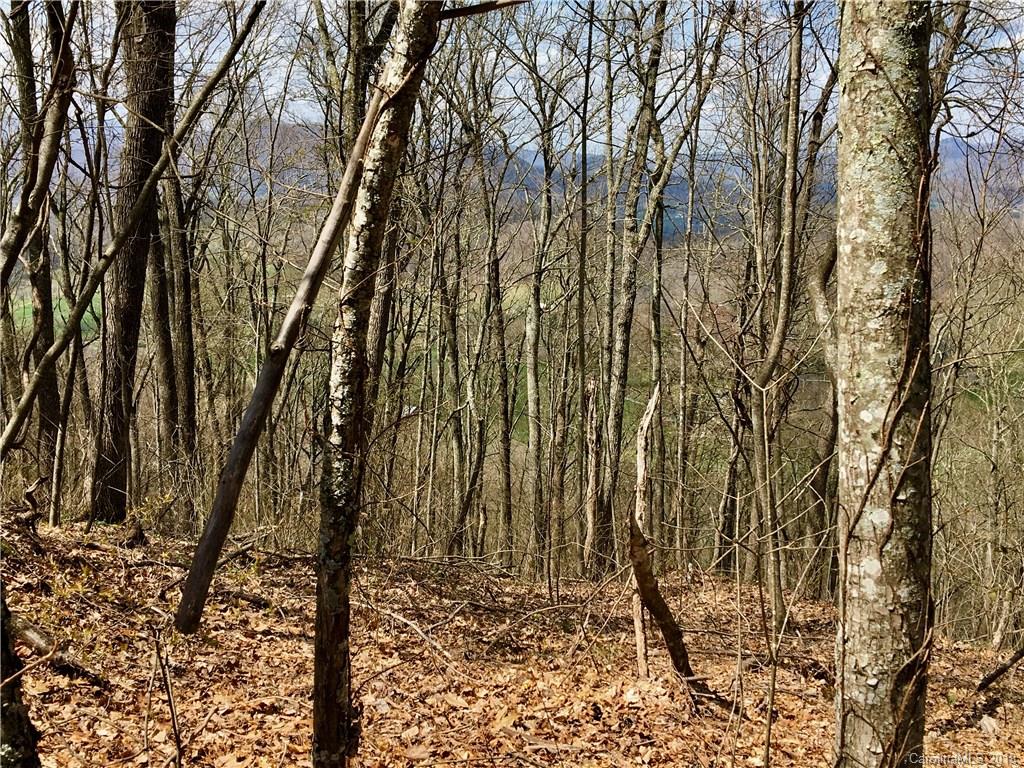 Tbd Smokey Ridge Loop Waynesville, NC 28786 - Photo 7 of 9