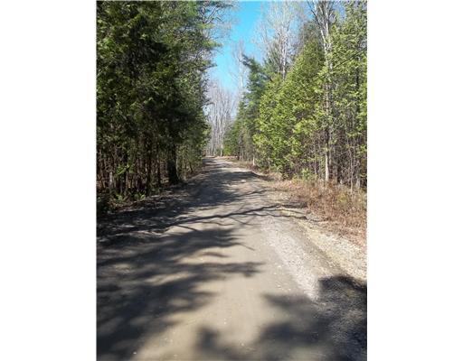 787 Dover Road Dexter, ME 04930 - Photo 9 of 25 Other. Driveway