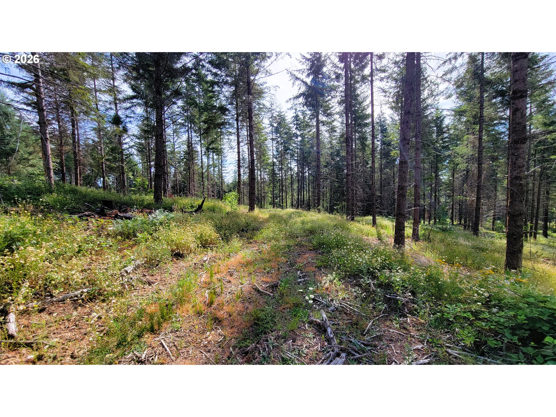 Branch Road, Unit 108 Eugene, OR 97402 - Photo 13 of 18