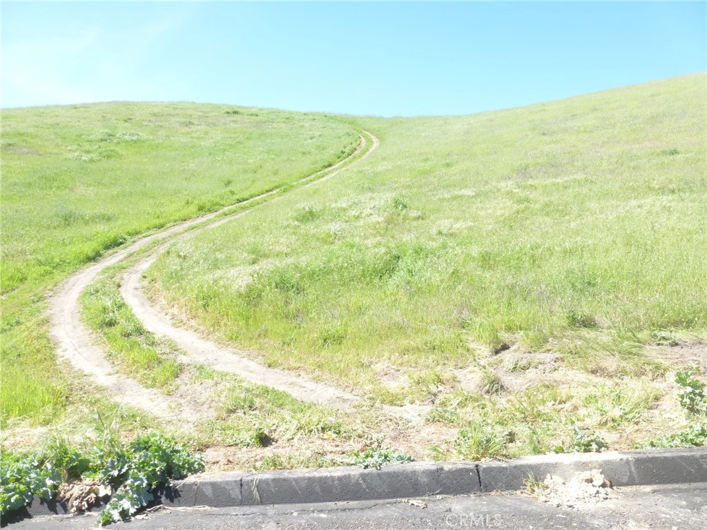 0 Douglas Road San Miguel, CA 93451 - Photo 19 of 75