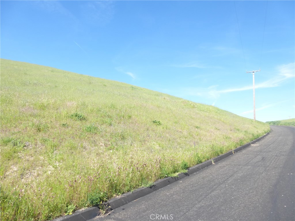 0 Douglas Road San Miguel, CA 93451 - Photo 3 of 75