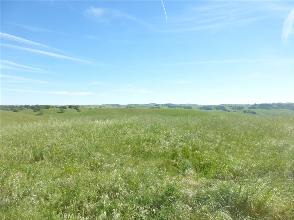 0 Douglas Road San Miguel, CA 93451 - Photo 33 of 75