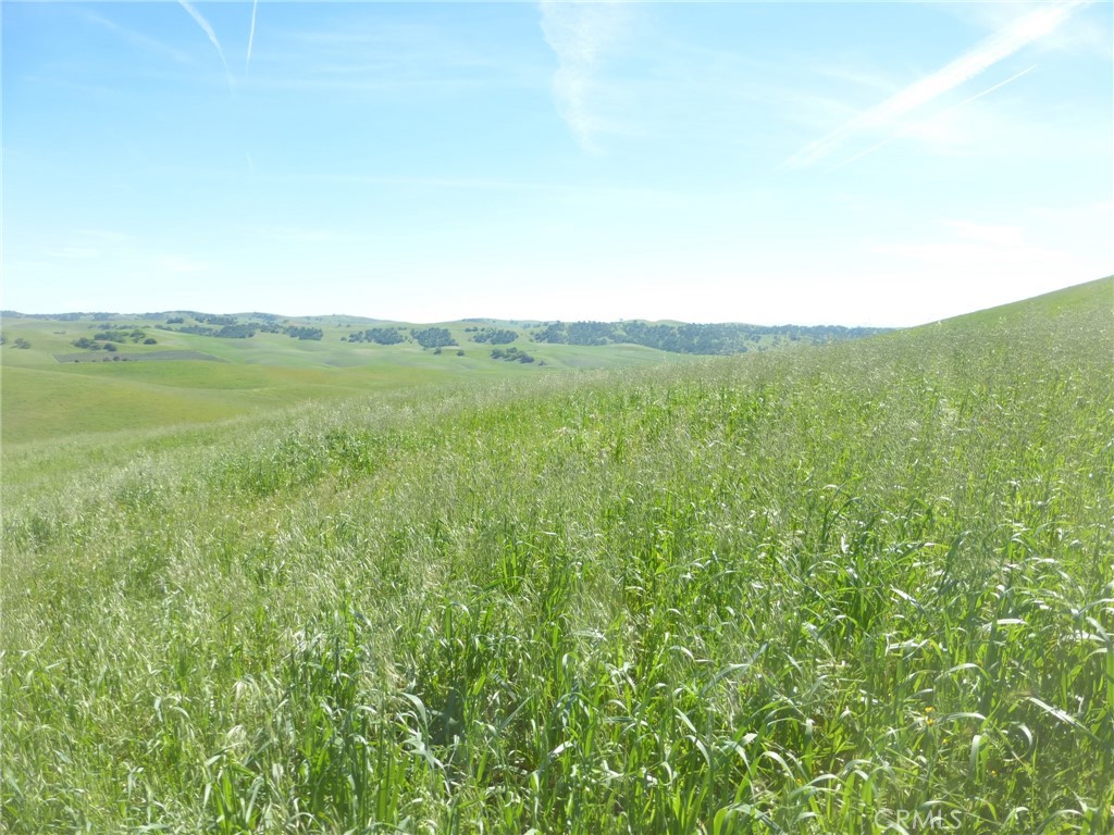 0 Douglas Road San Miguel, CA 93451 - Photo 58 of 75