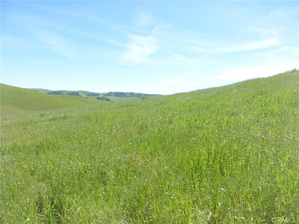 0 Douglas Road San Miguel, CA 93451 - Photo 72 of 75