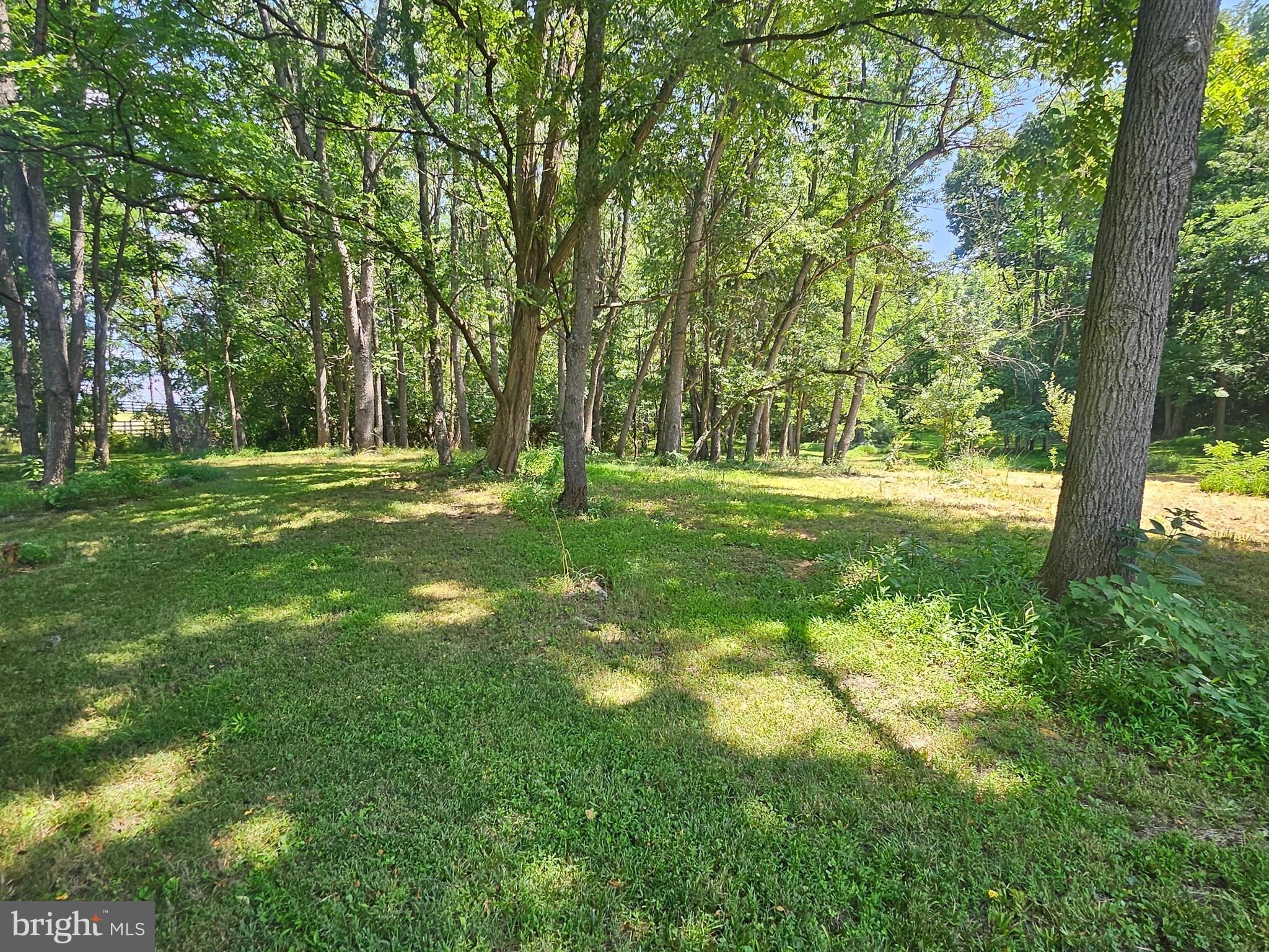 1918 Senseny Road Berryville, VA 22611 - Photo 36 of 58