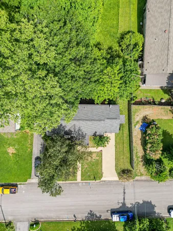 a view of a garden with lawn chairs