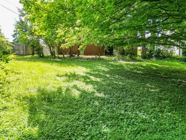 a view of a wooden fence