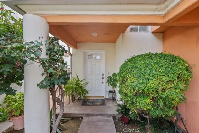 a couple of potted plants in front of door