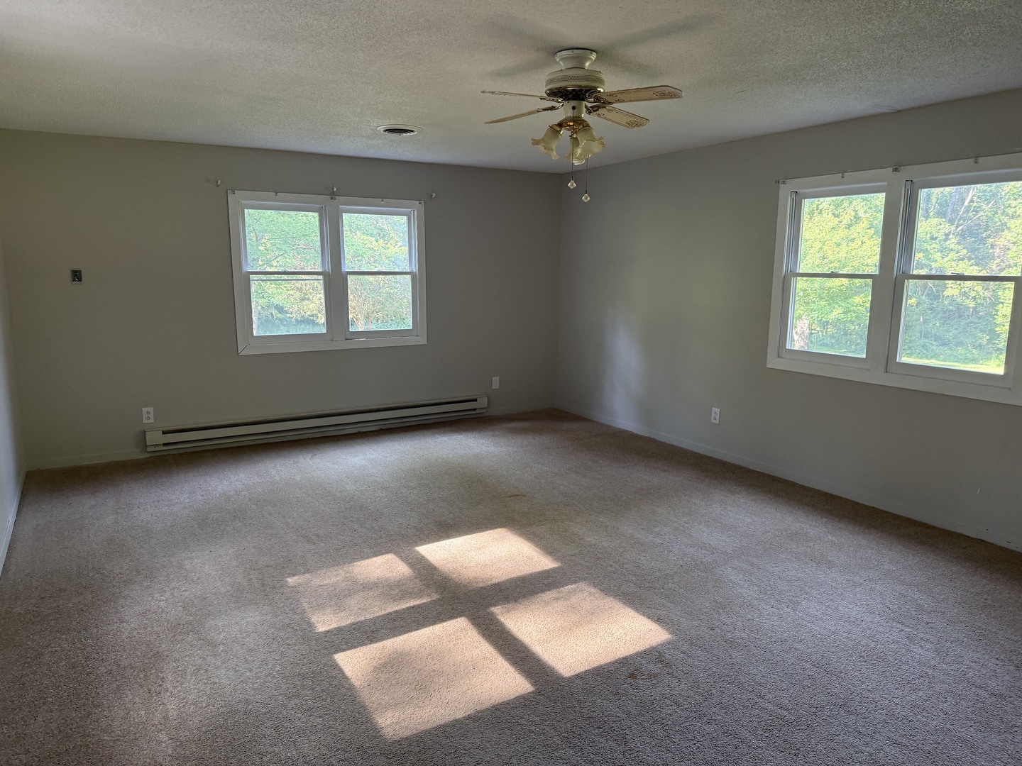19309 Corinth Road Pittsburg, IL 62974 - Photo 13 of 31