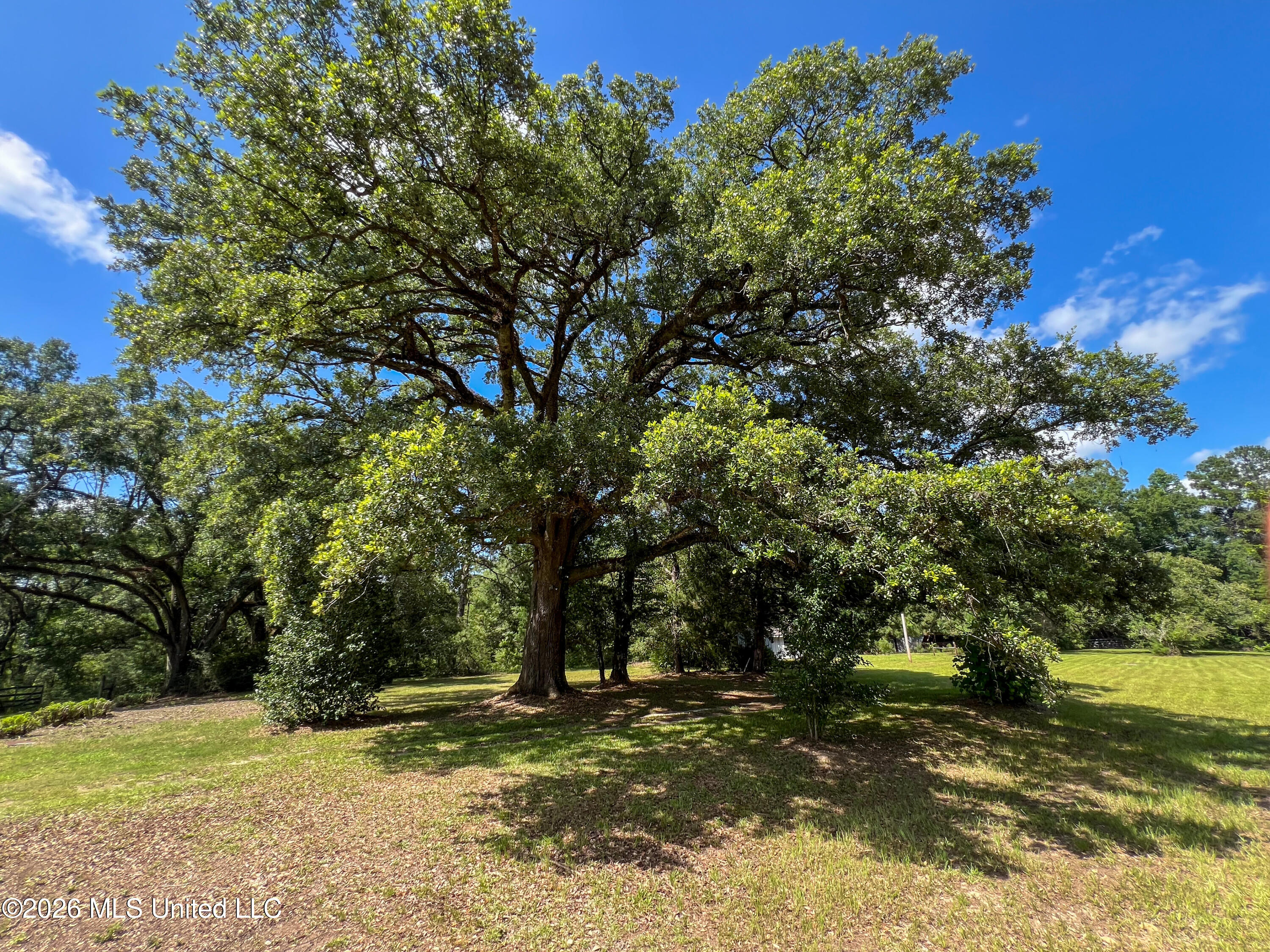 1309 McInnis Vernal Road Lucedale, MS 39452 - Photo 2 of 39 IMG_6175