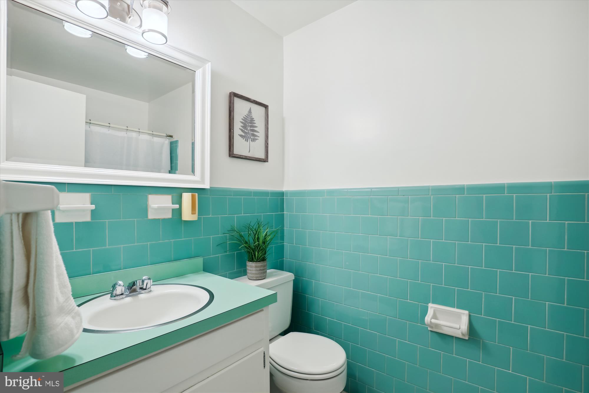 1808 Briar Ridge Court McLean, VA 22101 - Photo 39 of 61 Hall full bathroom