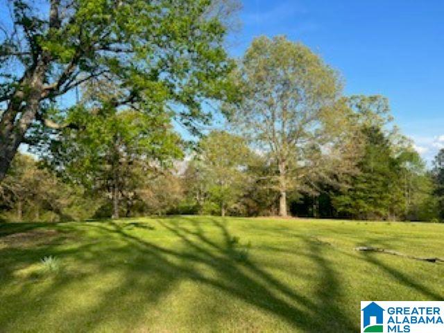 1931 Driving Range Road Cropwell, AL 35054 - Photo 22 of 24