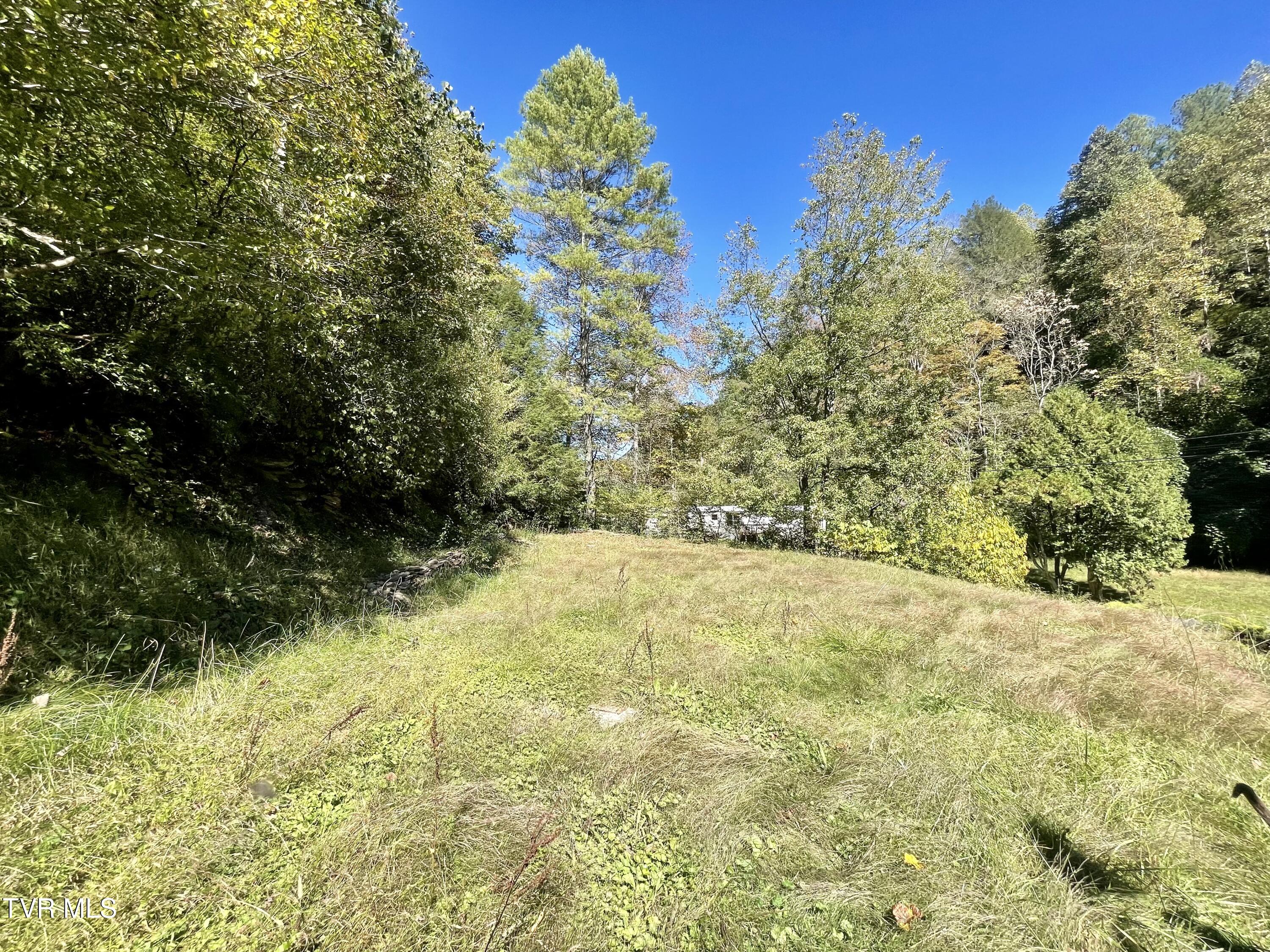 2989 Greenbrier Road Haysi, VA 24256 - Photo 23 of 37 IMG_0335