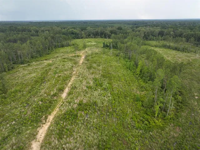 a view of a lush green forest with a sink