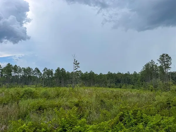 a view of a river and a yard in back