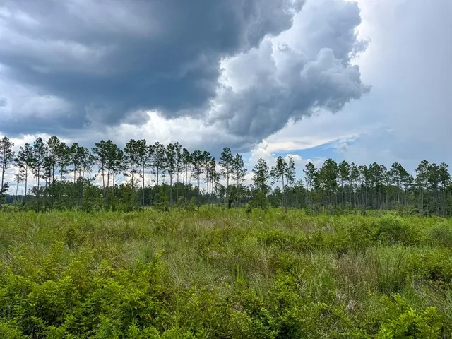 a view of a golf course with a lake
