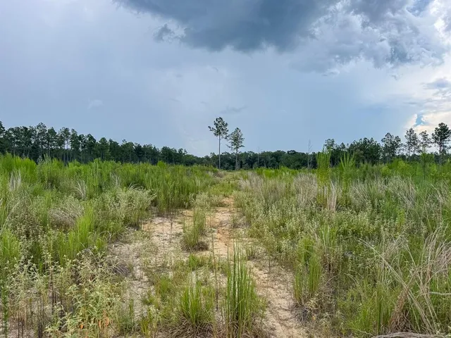 a view of a lake with a yard