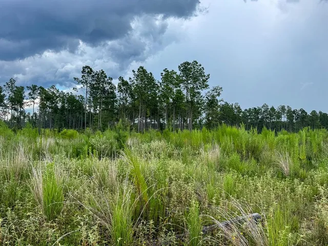 a backyard of a house with lots of green space and garden view