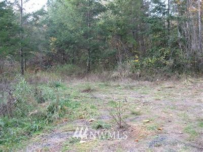 -lot 2 North Fork Road Chehalis, WA 98532 - Photo 1 of 1