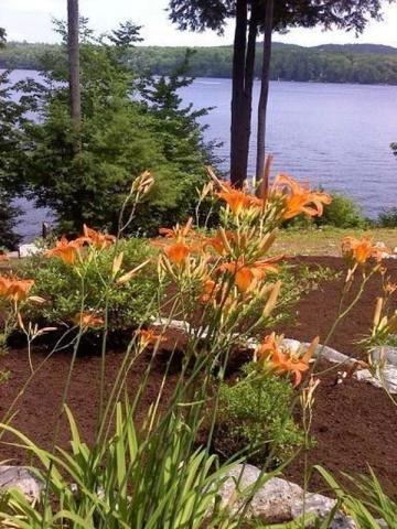 79 Kansas Shores Road Bridgton, ME 04009 - Photo 37 of 38 Beautiful landscaping/view