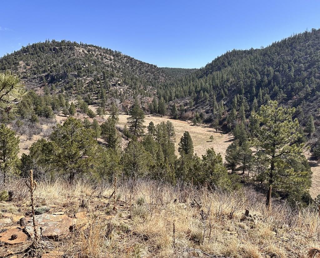 Tbd Big Pine Ridge Road Weston, CO 81091 - Photo 9 of 20 Gallery Image 9
