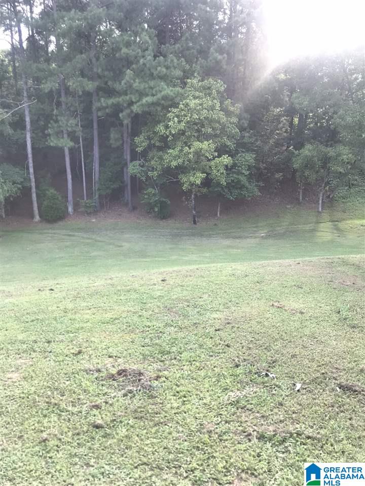 2419 Talley Road Morris, AL 35116 - Photo 5 of 28