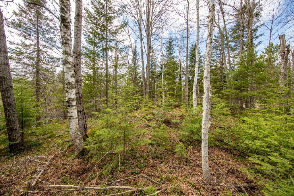10624 Lynx Lake Road Presque Isle, WI 54557 - Photo 23 of 27 Gallery Image 23