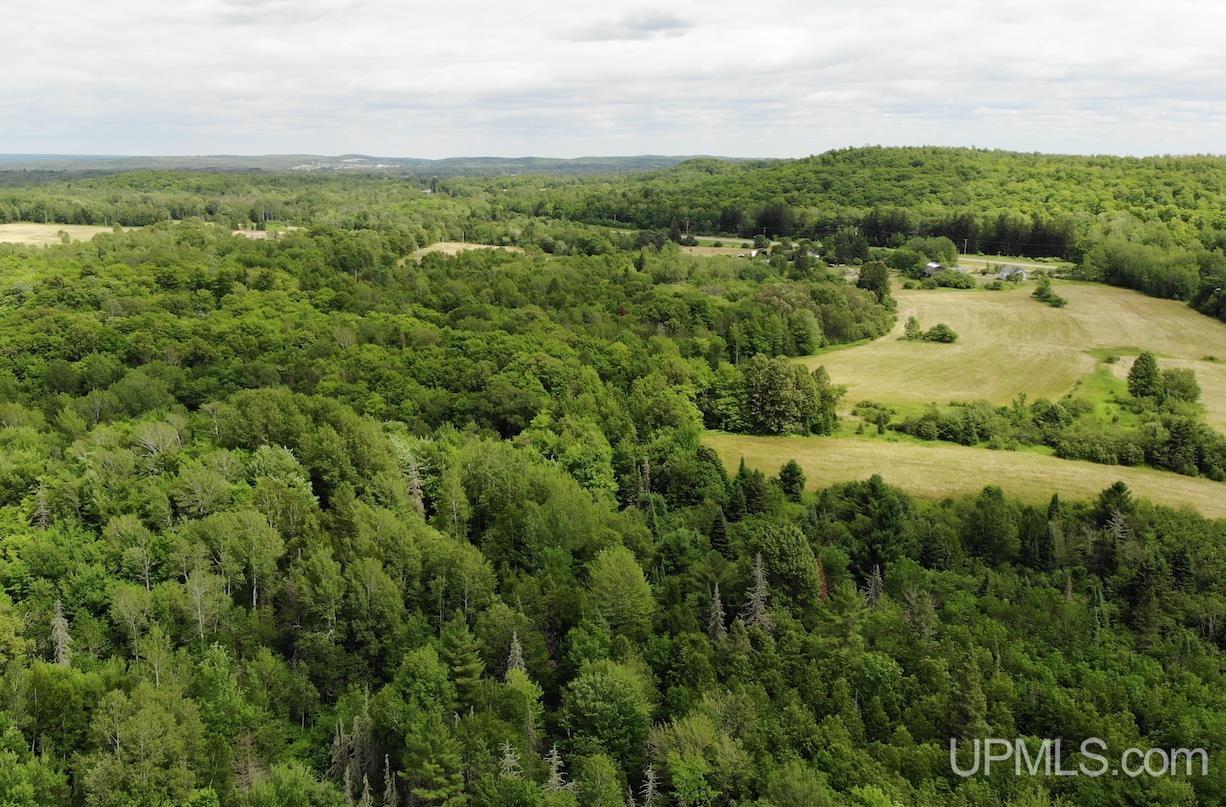 Tbd1 Norback Road Watton, MI 49970 - Photo 11 of 24