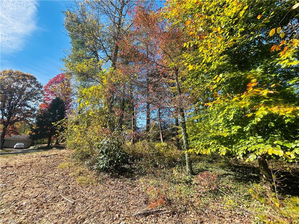 Tbd Old Springs Road Mount Airy, NC 27030 - Photo 4 of 17