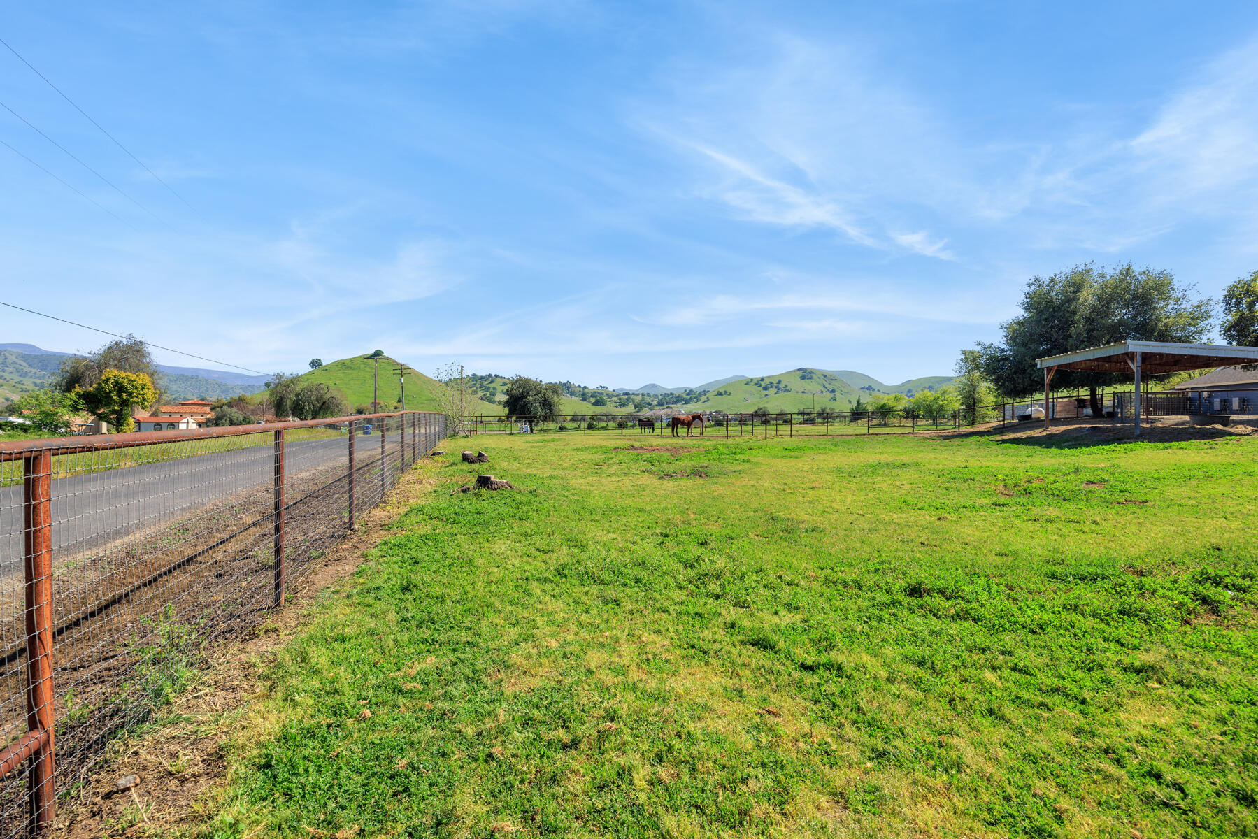 31393 Dahlem Drive Exeter, CA 93221 - Photo 59 of 79 59 - Frontal corral #1 (1)
