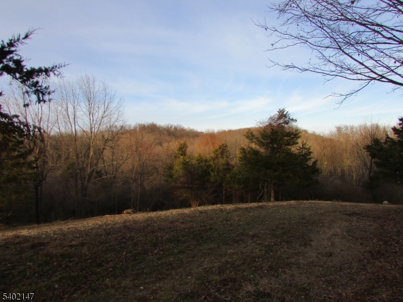 0 Clark Road Sussex, NJ 07461 - Photo 11 of 16