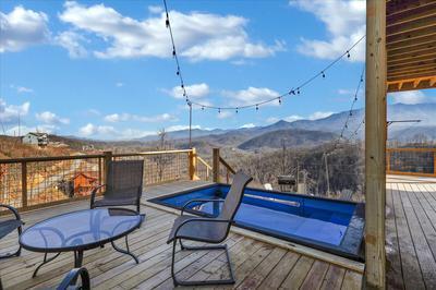 833 Village Loop Road Gatlinburg, TN 37738 - Photo 19 of 24 Container pool