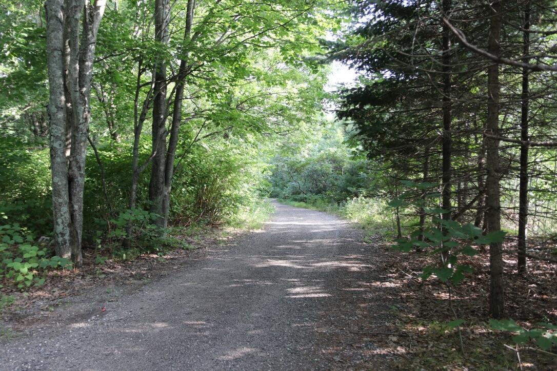 113 Lower Methodist Road Cumberland Center, ME 04021 - Photo 43 of 43 Driveway (2) 2020